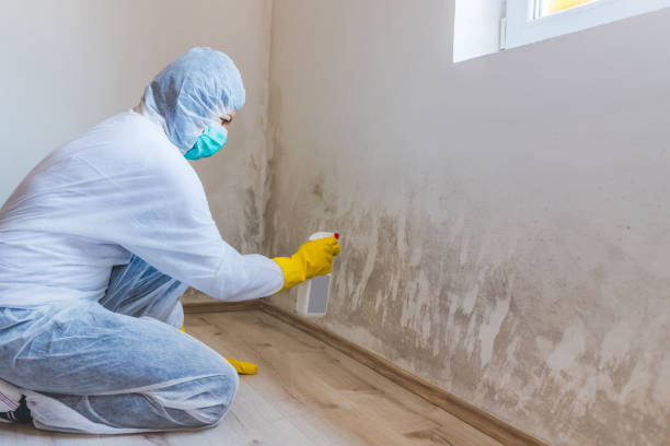 Licensed Mold Remediation service in Lawrenceville, GA - WQB Mold Removal