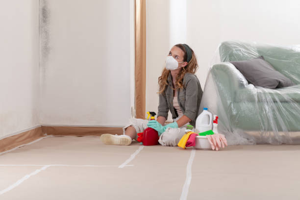 Reliable Mold Remediation contractor in Lawrenceville, GA by WQB Mold Removal